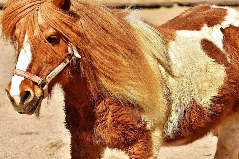 Schválenie účtovnej závierky: dôležitý krok pre vašu spoločnosť