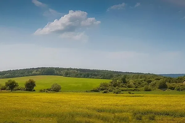 Minimálna mzda na slovensku